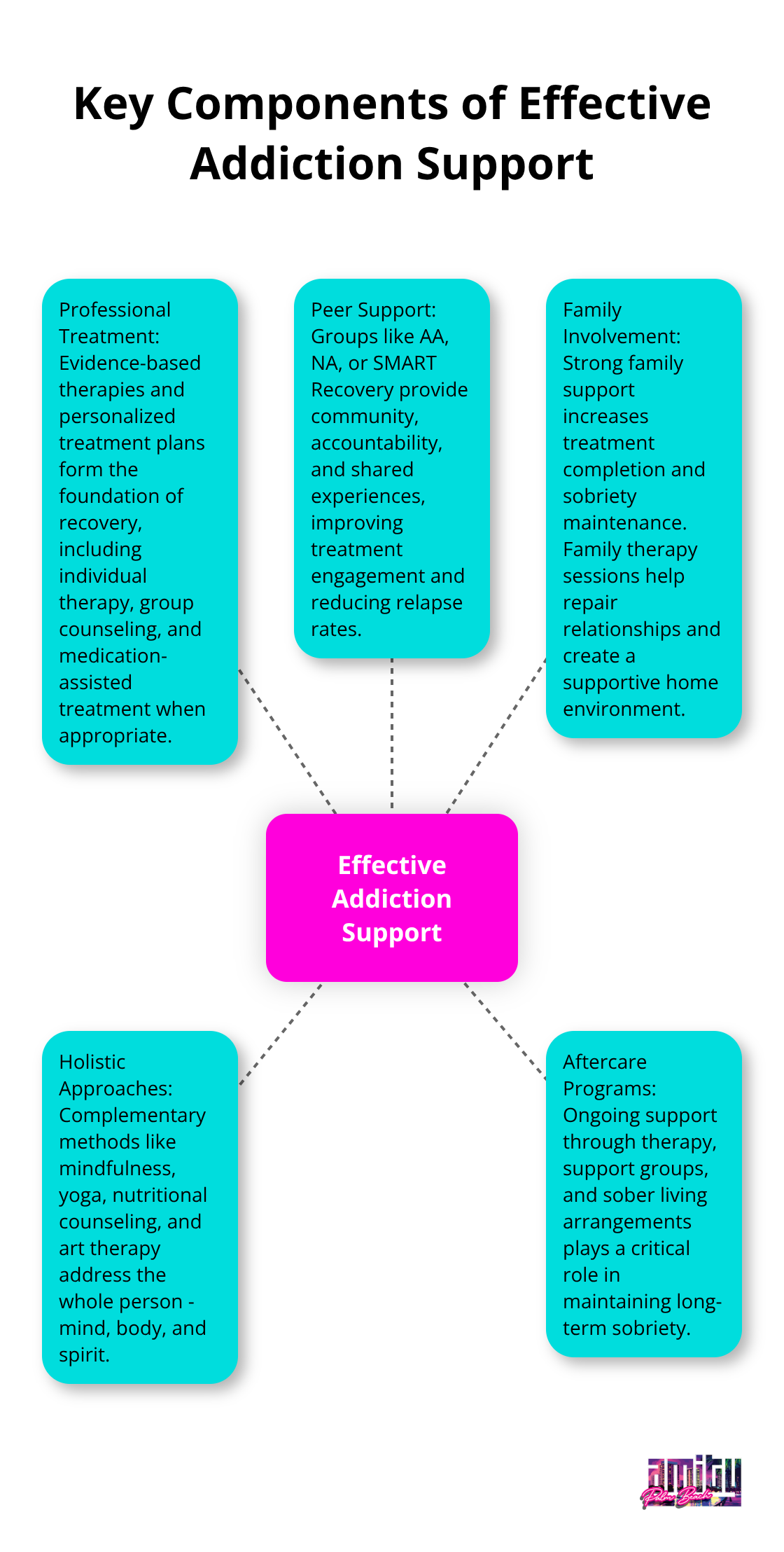A hub and spoke chart illustrating five key components of effective addiction support: Professional Treatment, Peer Support, Family Involvement, Holistic Approaches, and Aftercare Programs.
