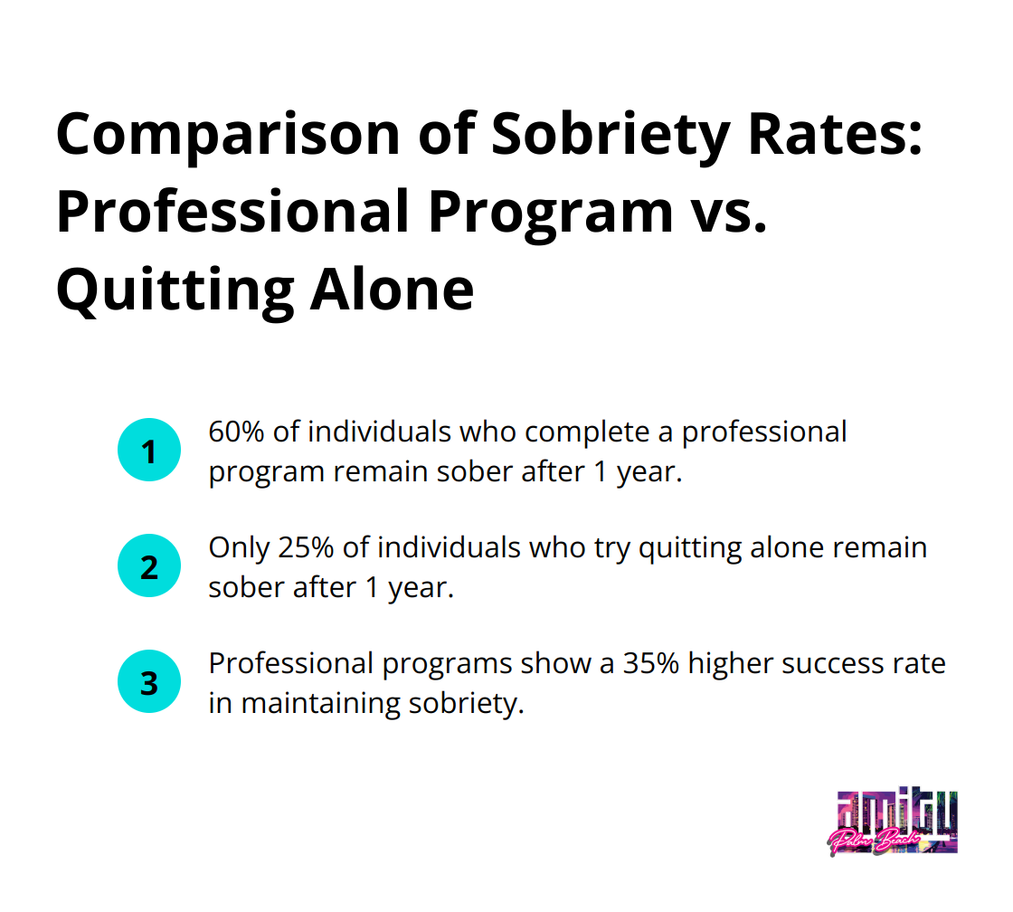 Ordered list chart comparing sobriety rates after 1 year: 60% for those who complete a professional program versus 25% for those who try quitting alone. - detox program