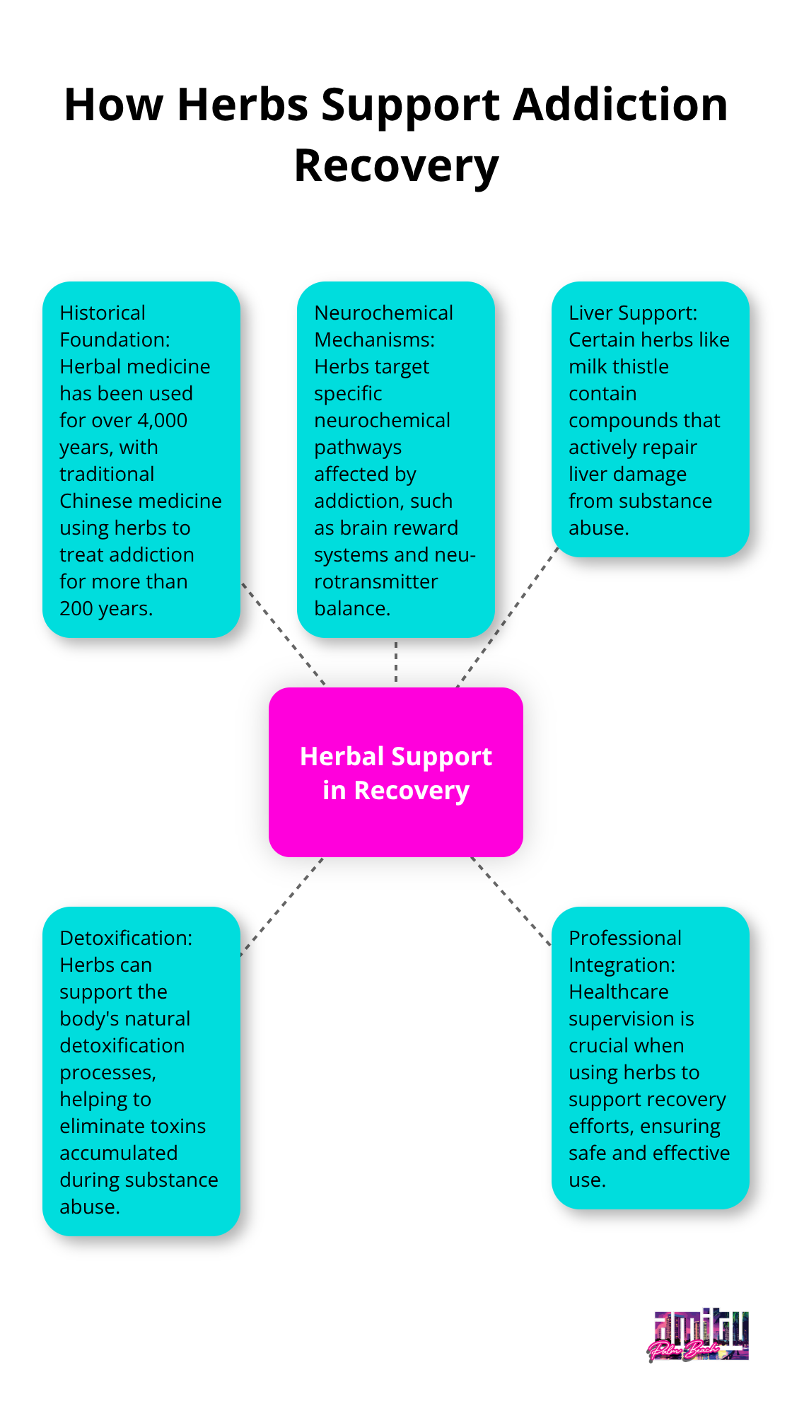 A hub-spoke chart showing five ways herbs support addiction recovery: historical foundation, neurochemical mechanisms, liver support, detoxification, and professional integration.