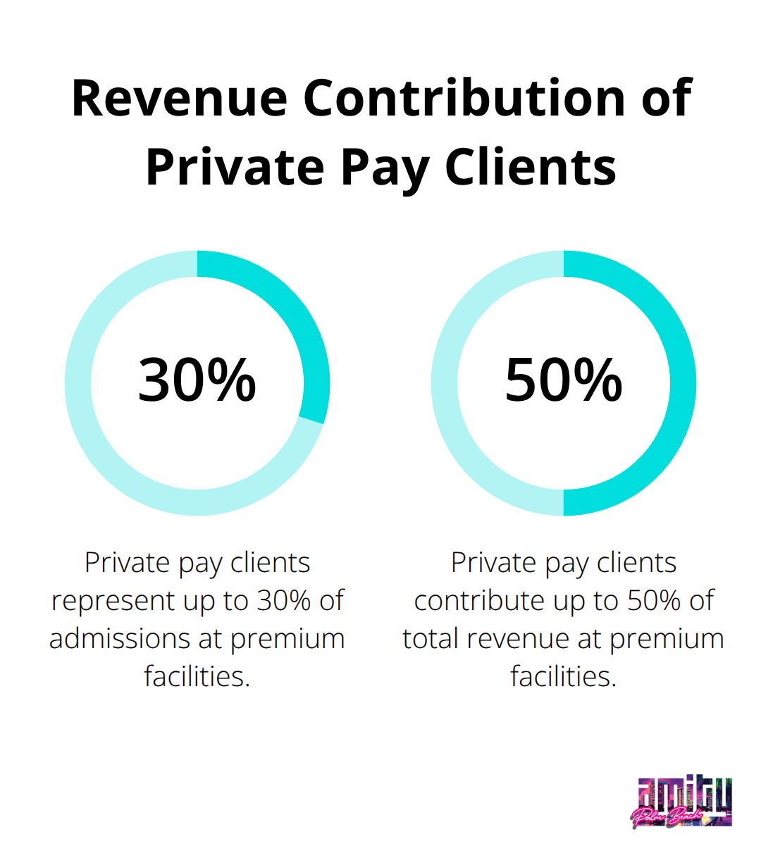 Chart showing private pay clients represent 25-30% of admissions but contribute 40-50% of total revenue at premium facilities - how much money do rehab centers make