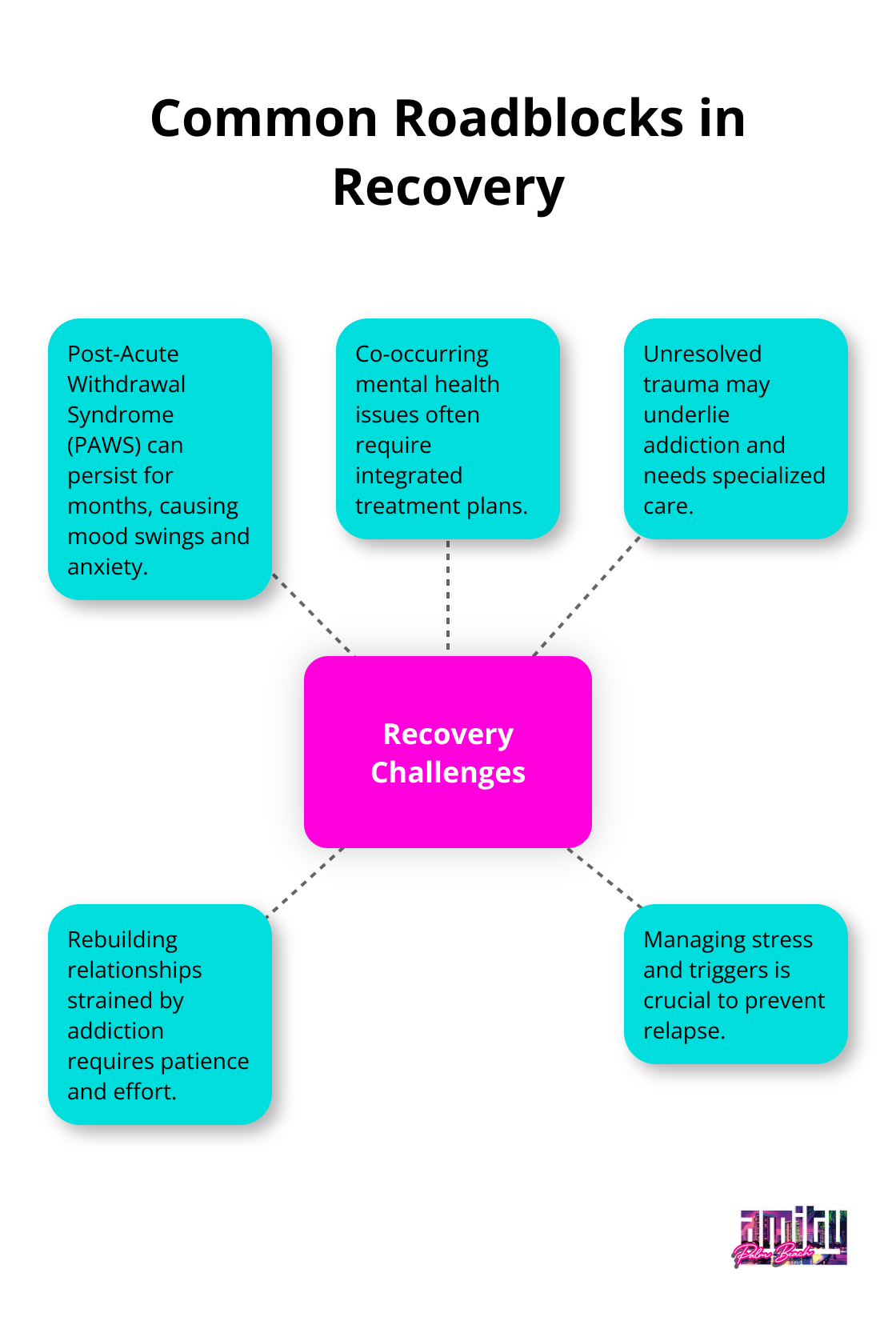 Hub and spoke chart displaying common challenges faced during recovery, including PAWS, mental health issues, trauma, relationships, and stress management
