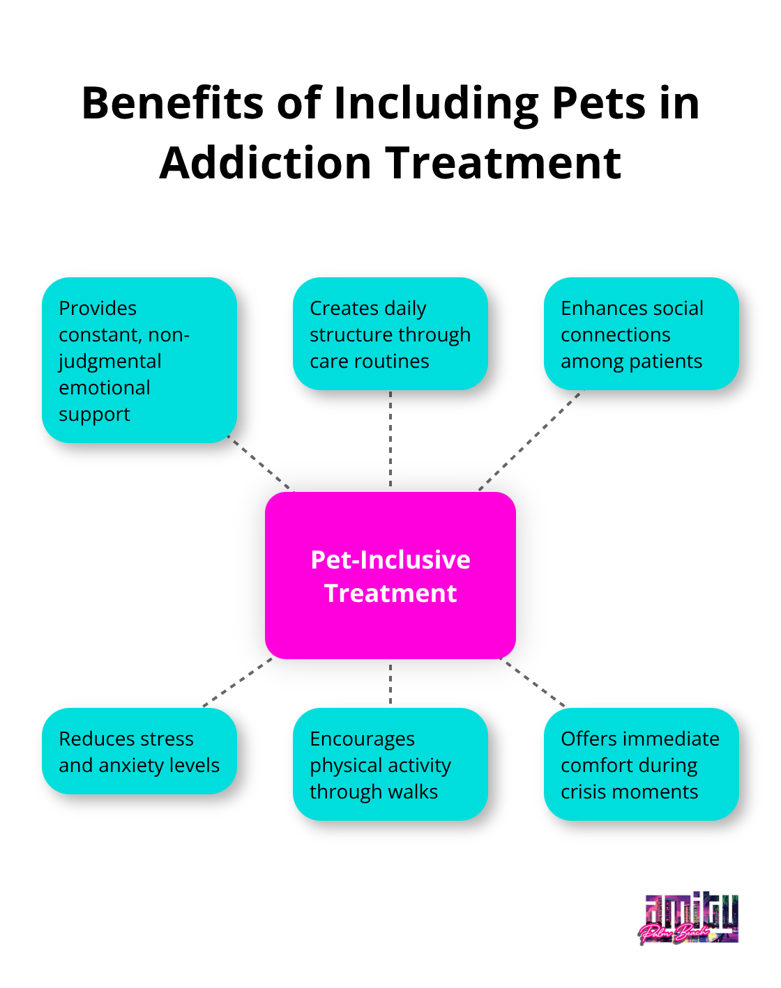 Hub and spoke chart showing benefits of including pets in addiction treatment: emotional support, daily structure, social connection, stress reduction, physical activity, and immediate comfort - pet friendly rehab centers