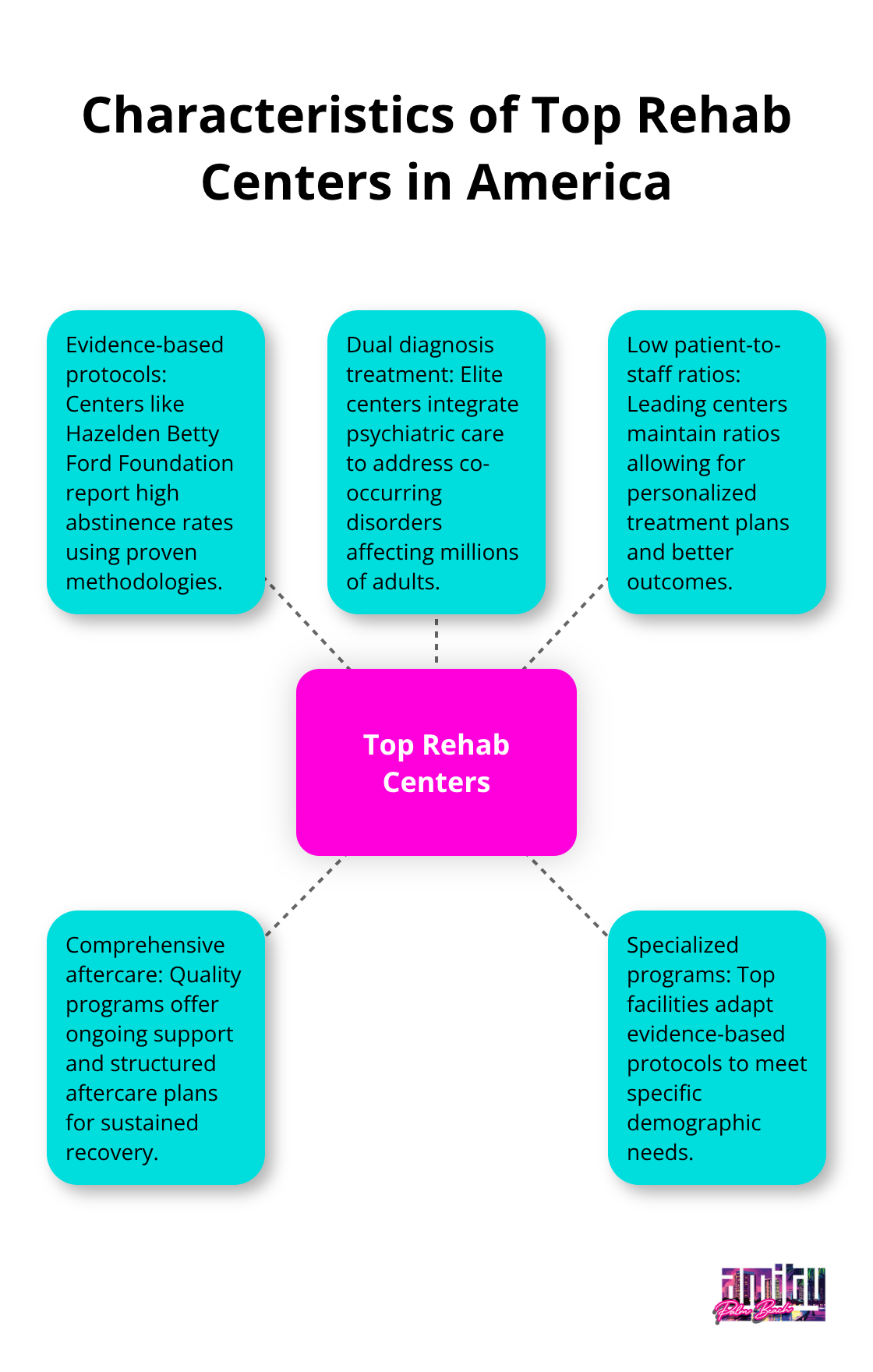 Hub and spoke chart showing key characteristics of top rehab centers in America - top 10 drug rehab centers in the us