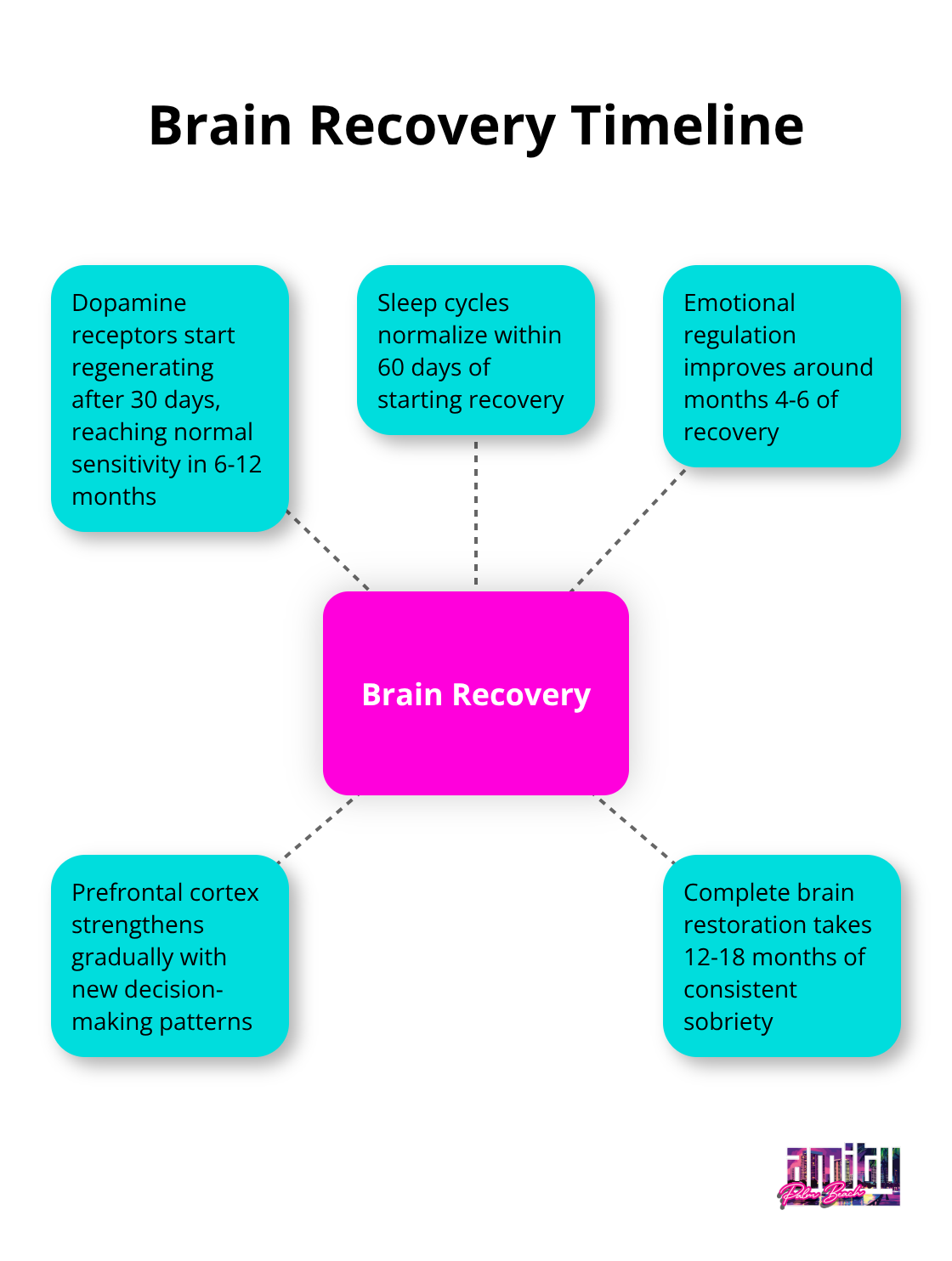 Hub and spoke chart showing brain recovery timeline for different aspects of healing during addiction recovery - understanding addiction recovery